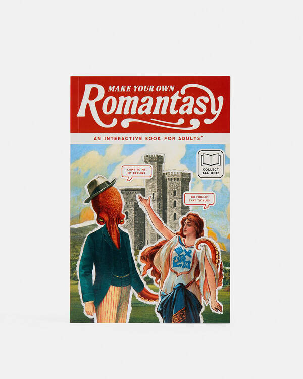 Make Your Own Romantasy Activity Book