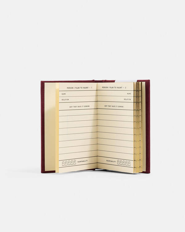 Brass Monkey People I Plan To Haunt Tiny Diary for Womens
