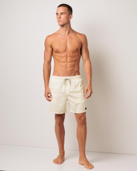 Rip Curl Bondi Volley Board Shorts for Mens image number null