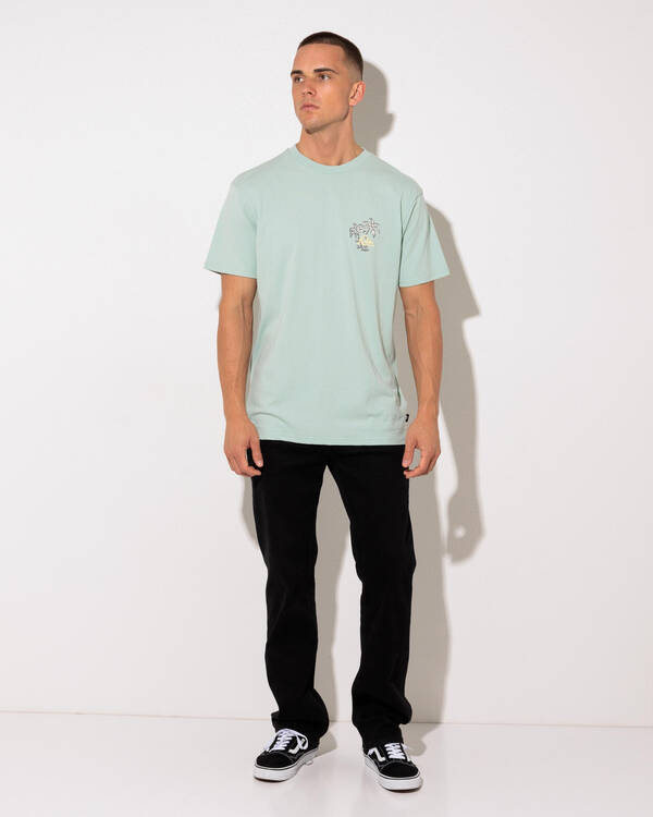 Quiksilver Nature Nomad T-Shirt for Mens