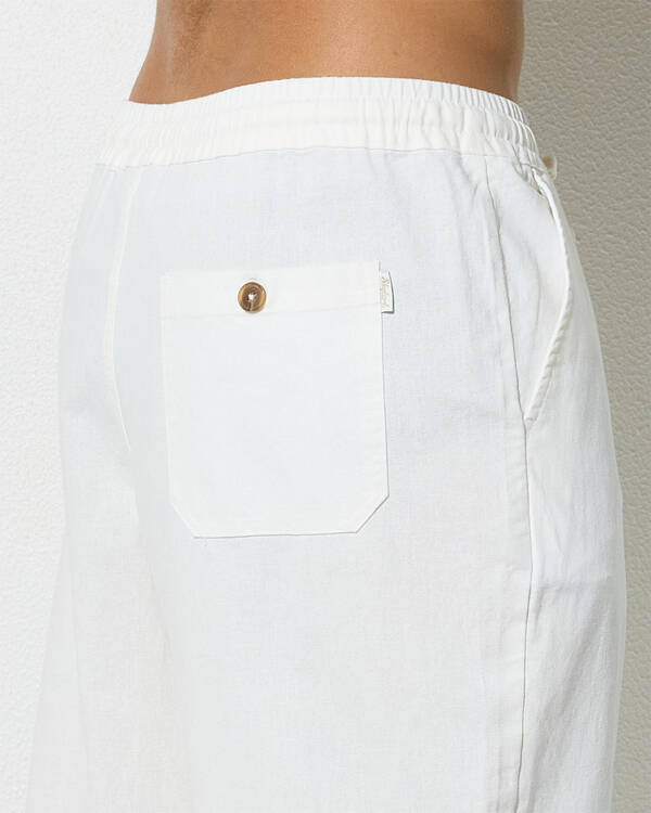 Skylark Hemp Blend Pants for Mens