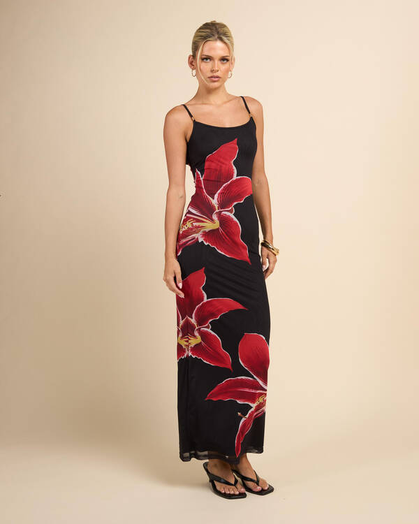 Mooloola Lianna Maxi Dress for Womens