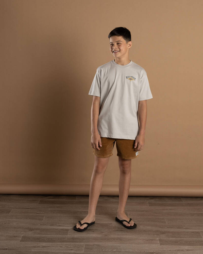 Billabong Boys' Flame Arch T-Shirt for Mens