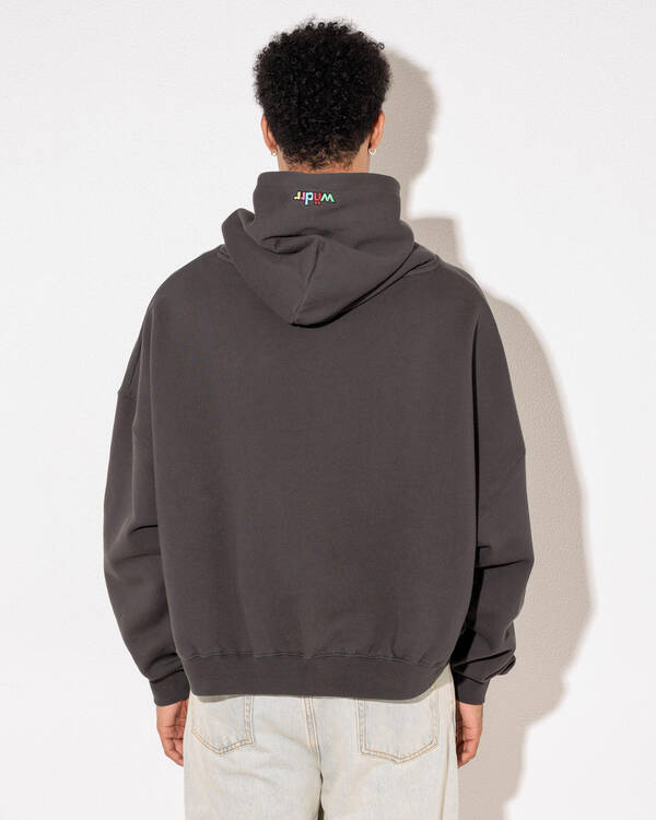 Wndrr Tint Cropped Hoodie for Mens