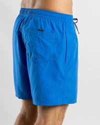 Quiksilver Everyday Vert Volley 2 17" Board Shorts for Mens image number null