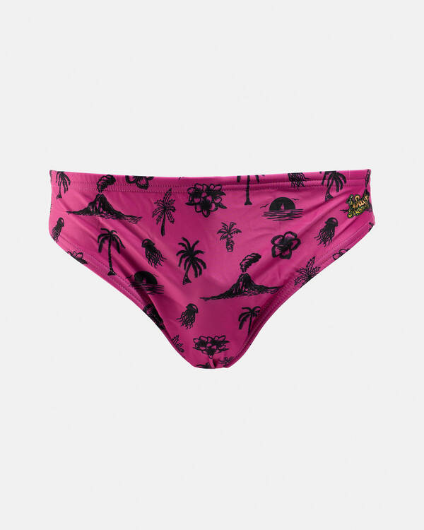 Lean Back Swim Briefs