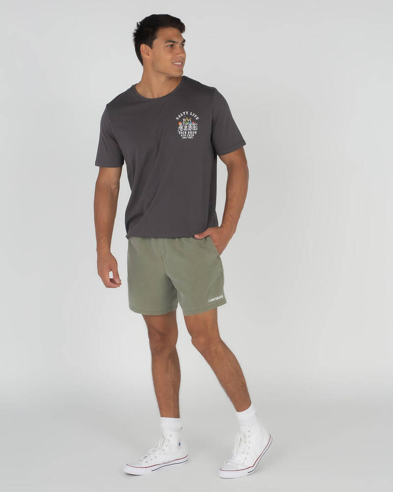 Quiksilver Surfwash Volley Board Shorts for Mens