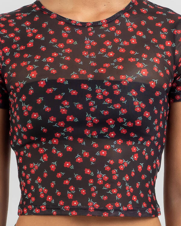 Ava And Ever Poppy Mesh Baby Tee for Womens