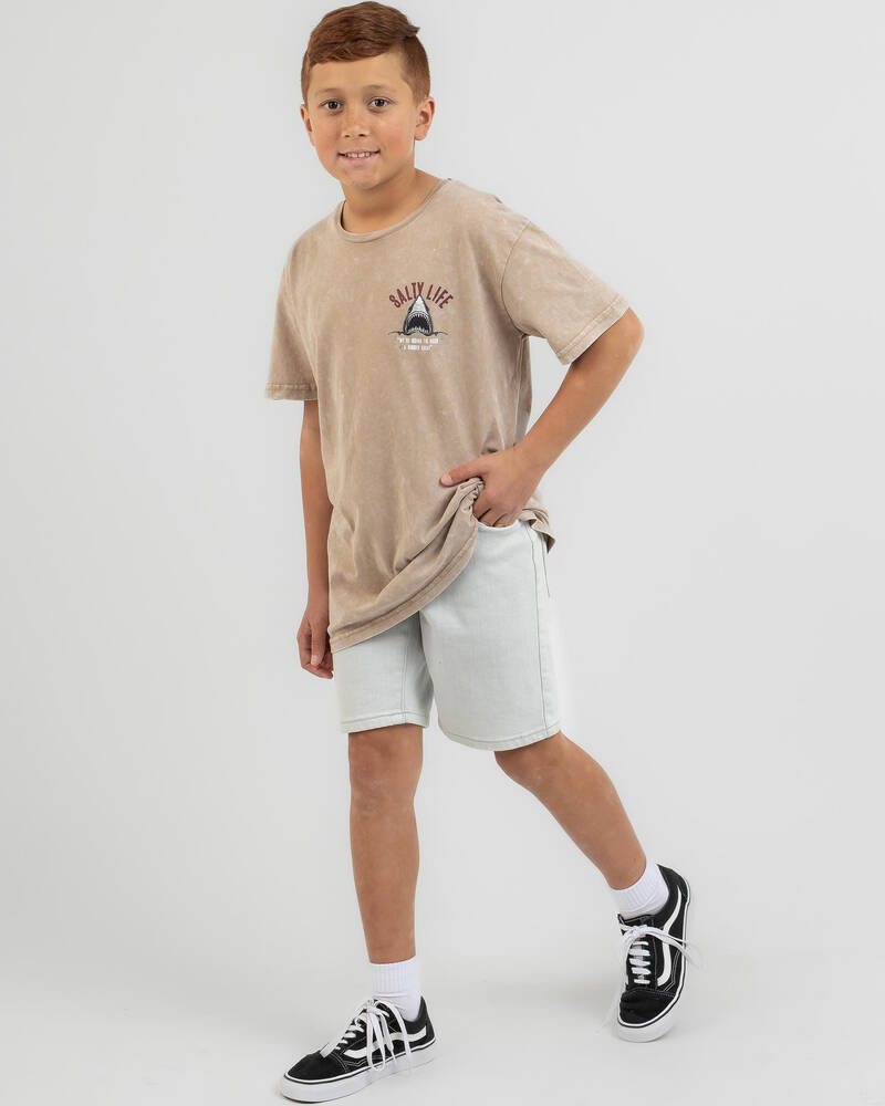 Salty Life Boys' Frenzy T-Shirt for Mens