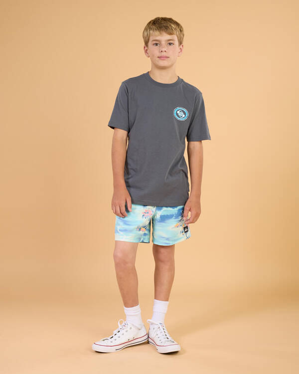 Quiksilver Boys' Tracker T-Shirt for Mens