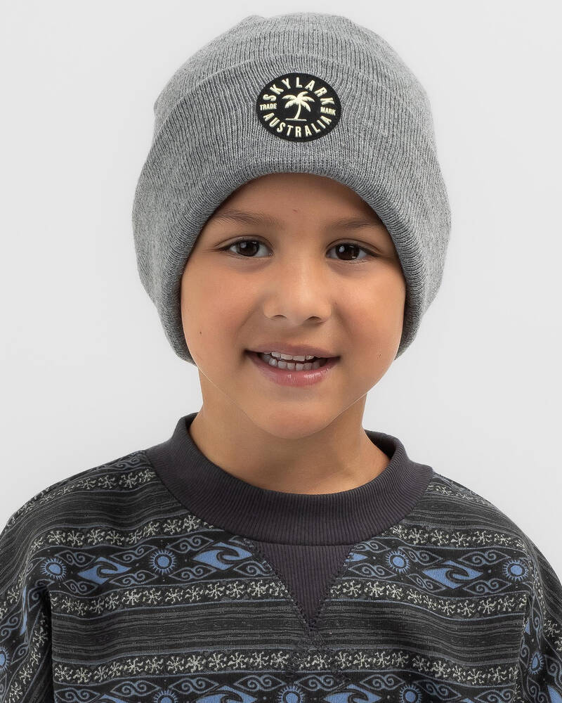 Skylark Toddlers' Flip Side Beanie for Mens