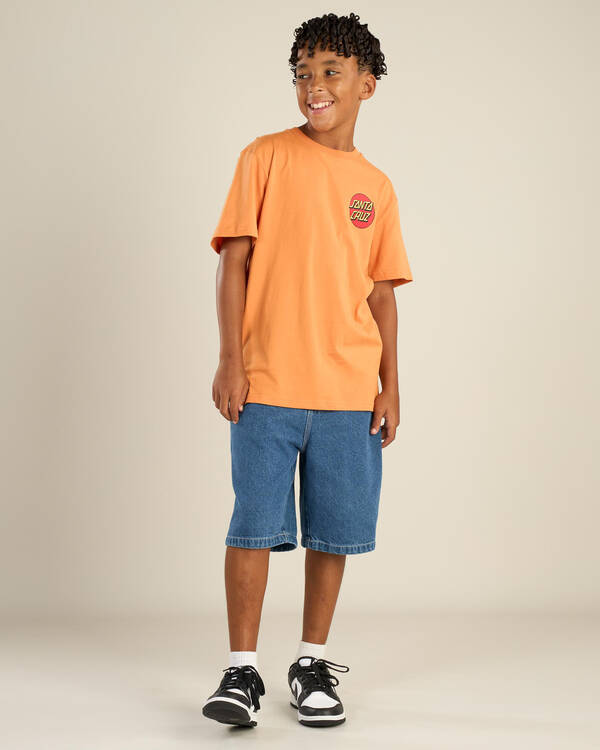 Santa Cruz Boys' Classic Dot Chest T-Shirt for Mens