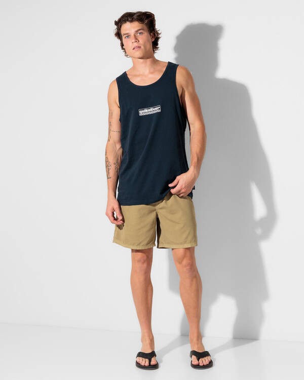 Quiksilver Everyday Surfwash Volley 17NB for Mens