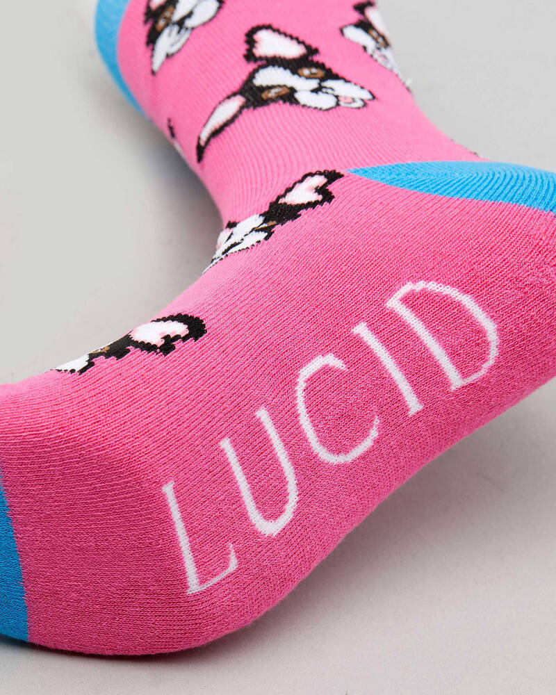 Lucid Bulldog Socks for Mens