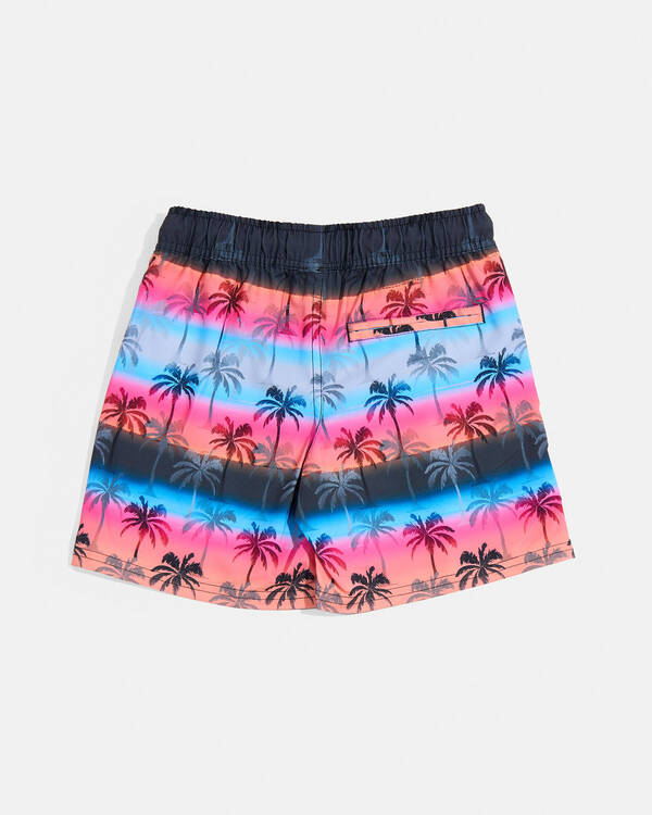 Salty Life Toddlers' Afterglow Elastic Waist Shorts for Mens