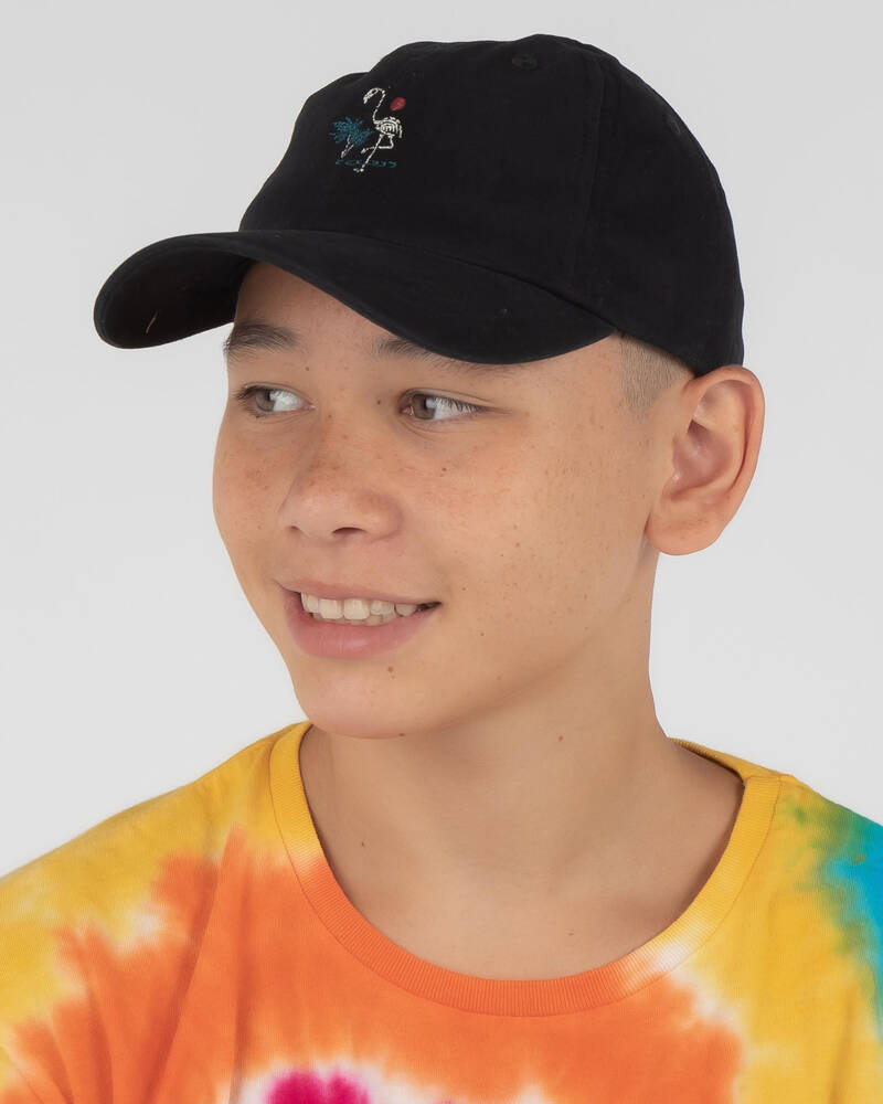 Billabong Boys' Dark Aloha Lad Cap for Mens