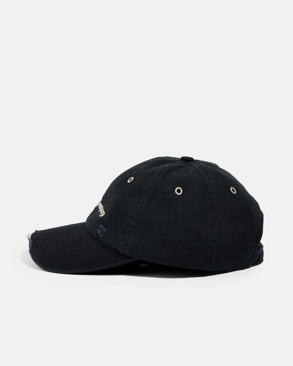 Thrills Everything In Its Right Place Cap for Mens