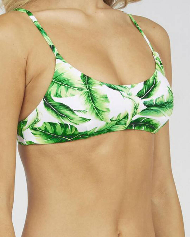 Topanga Mya Palms Bikini Top for Womens