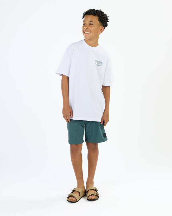 Billabong Boys' Heritage Arch T-Shirt for Mens