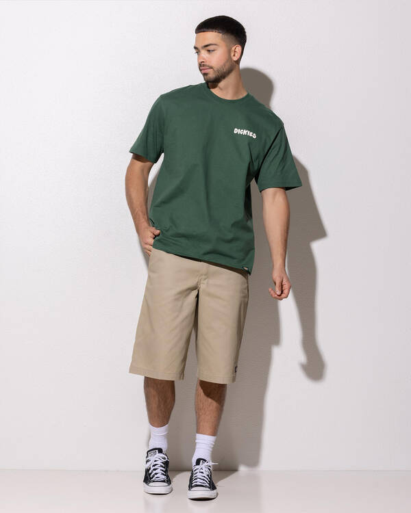 Dickies Phillipsburg T-Shirt for Mens