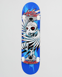 Birdhouse Hawk Spiral 7.75" Complete Skateboard for Unisex image number null