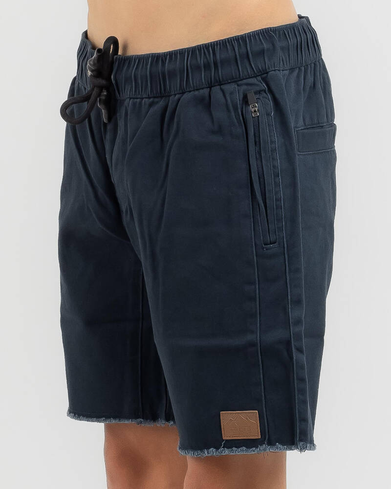 Lucid Boys' Sections Shorts for Mens