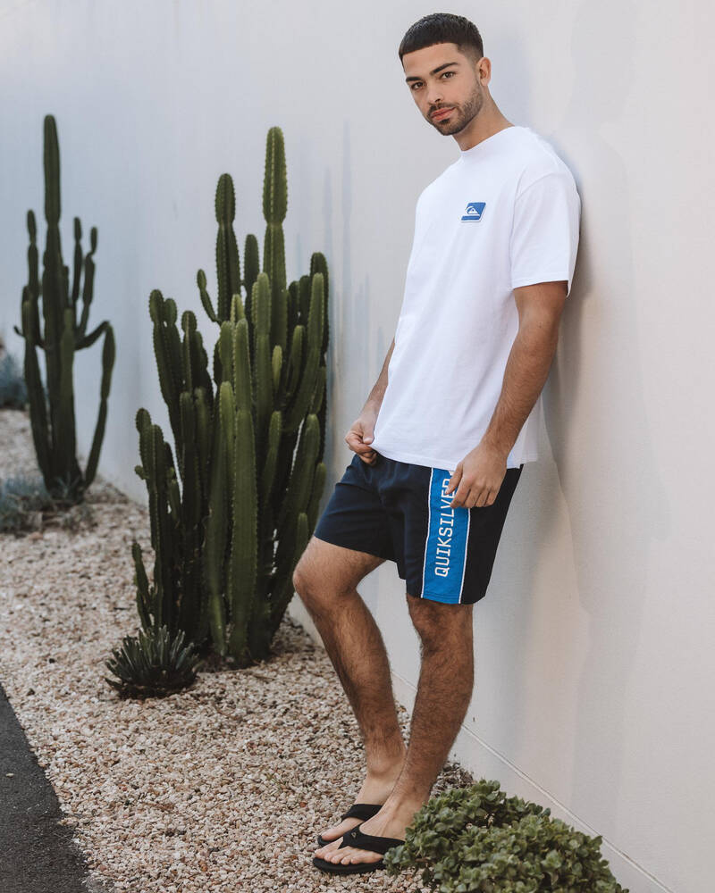 Quiksilver Everyday Clicker Volley 17" Board Shorts for Mens