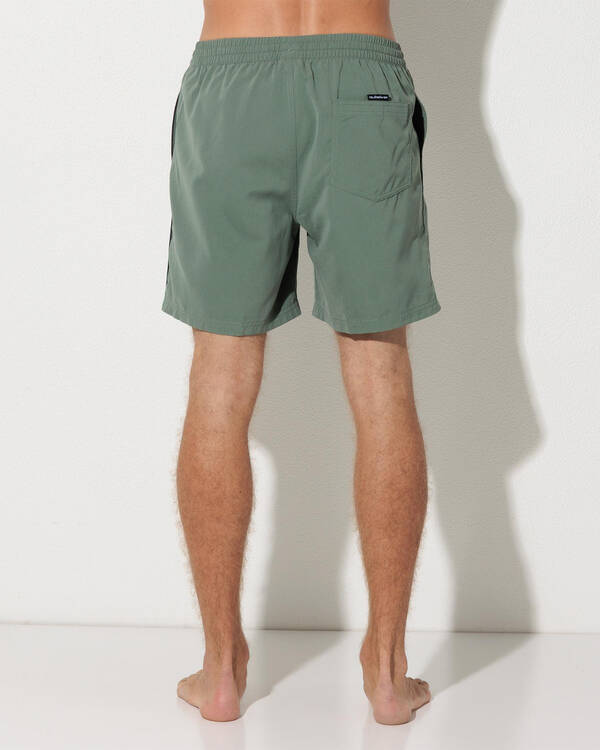 Quiksilver Everyday Vert Volley 17" Board Shorts for Mens
