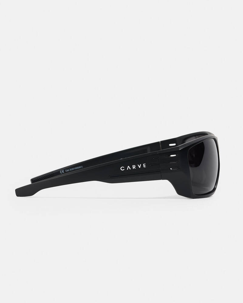 Carve Airborne Polarised Sunglasses for Mens