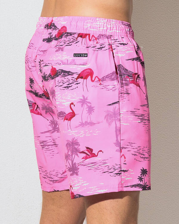 Lucid Flamingo Coast Elastic Waist Board Shorts for Mens