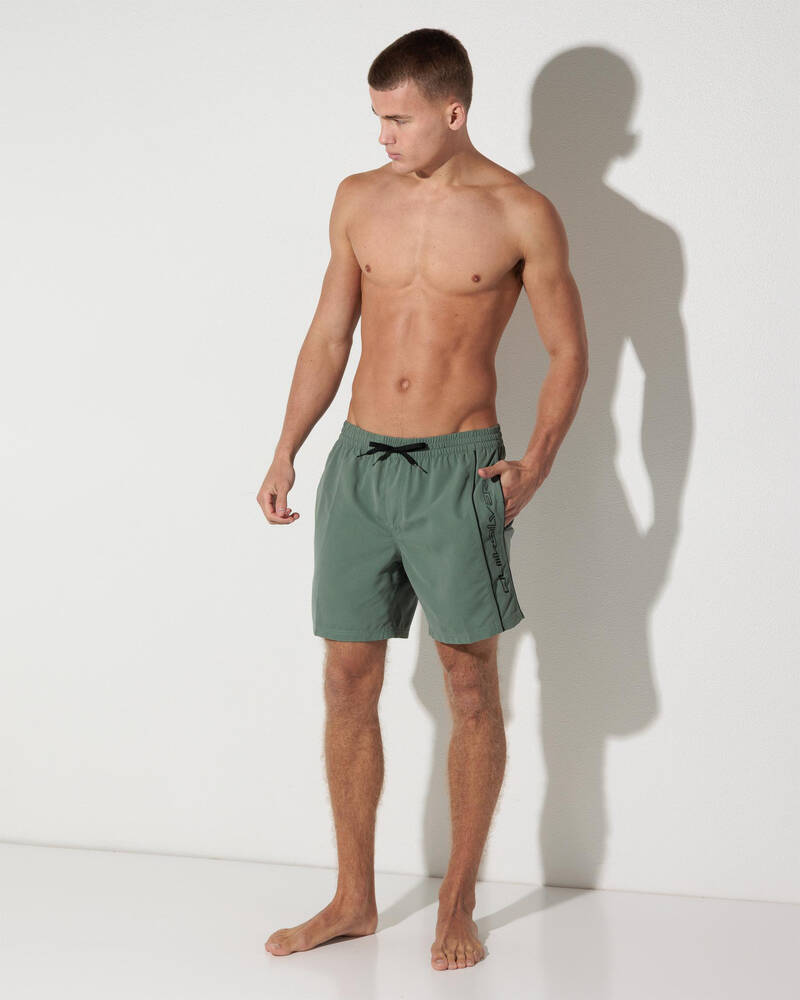 Quiksilver Everyday Vert Volley 17" Board Shorts for Mens