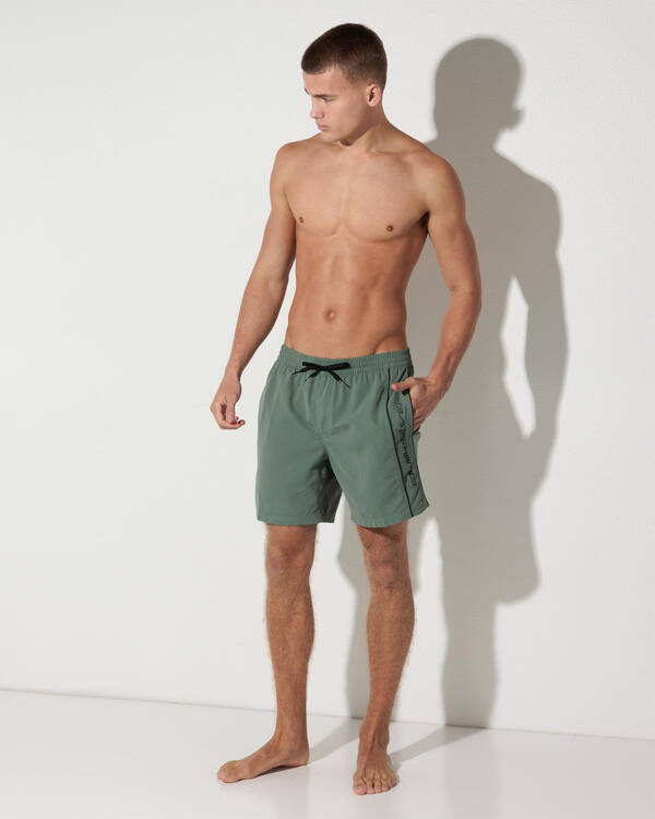 Quiksilver Everyday Vert Volley 17" Board Shorts for Mens