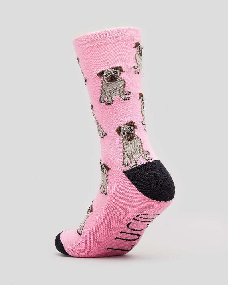 Lucid Pug Socks for Mens