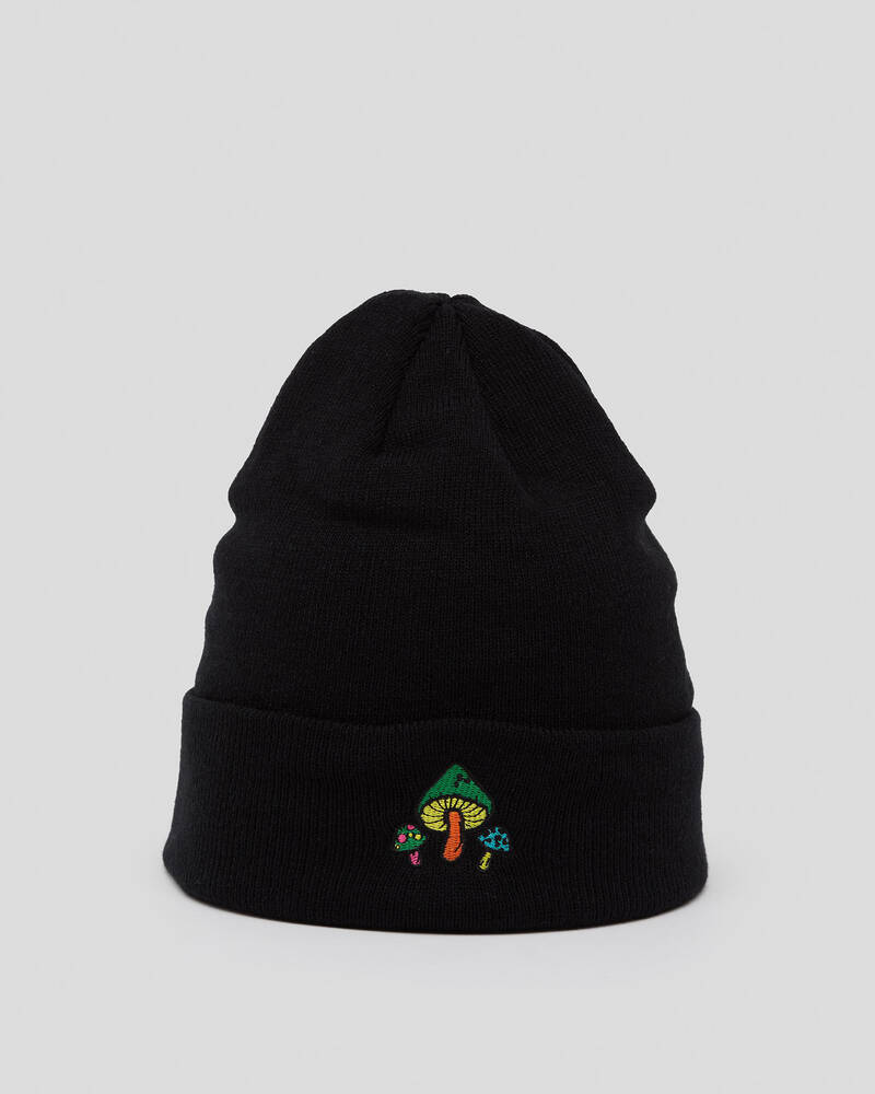 Miscellaneous Field Trip Beanie for Mens