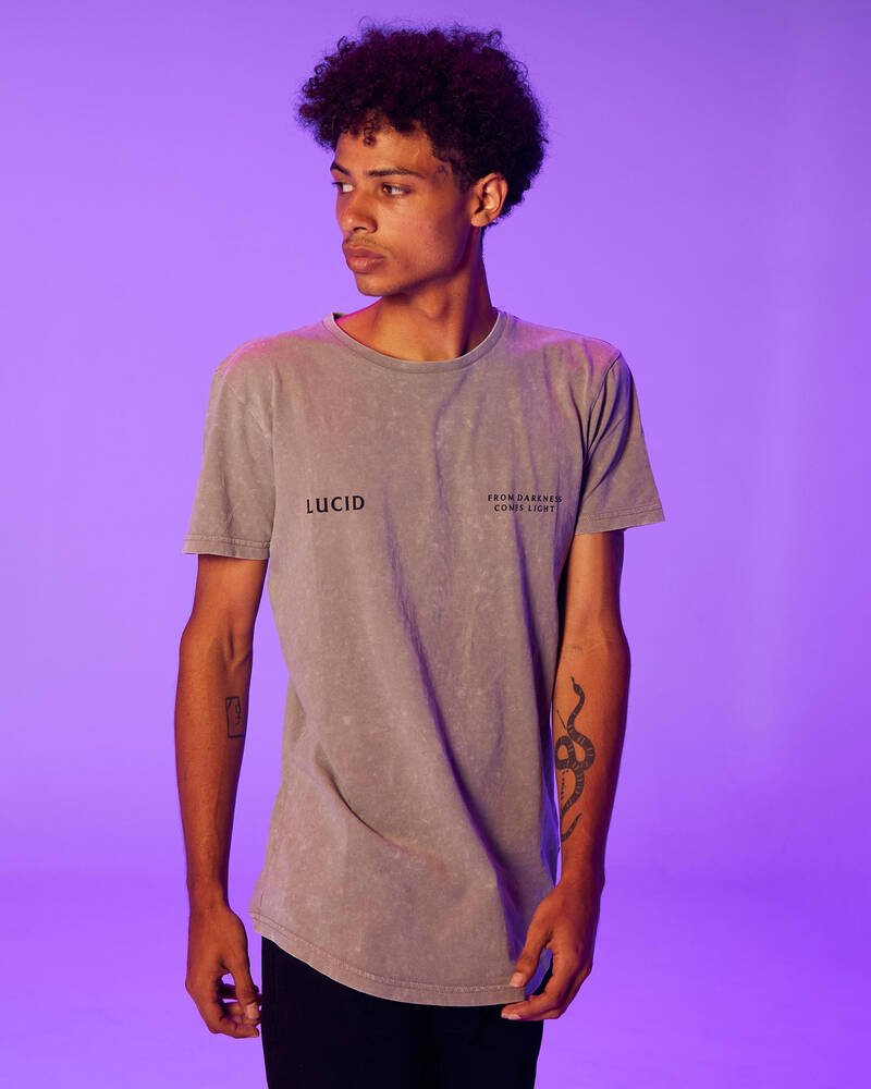 Shop Lucid Aspect TShirt In Lt Grey Acid Fast Shipping & Easy