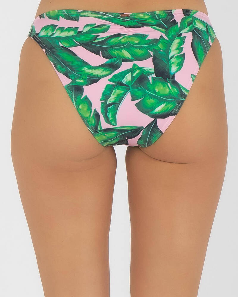 Topanga Kokomo Palms Bikini Bottom for Womens