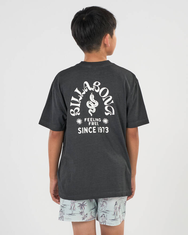 Billabong Boys' Big Wave Shaz T-Shirt for Mens