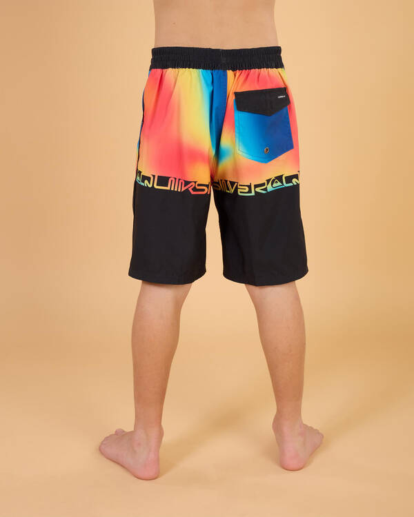 Quiksilver Boys' Everyday Half Jam Board Shorts for Mens