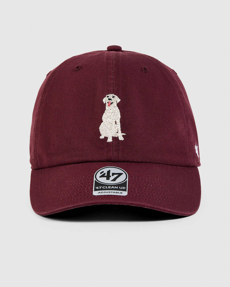 Forty Seven Pets Labrador Cap for Womens