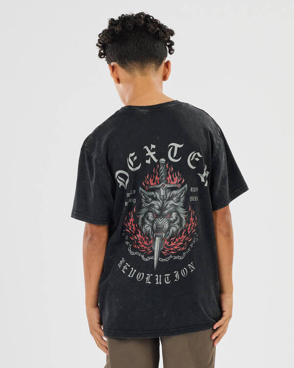 Boys' Flamefall T-Shirt