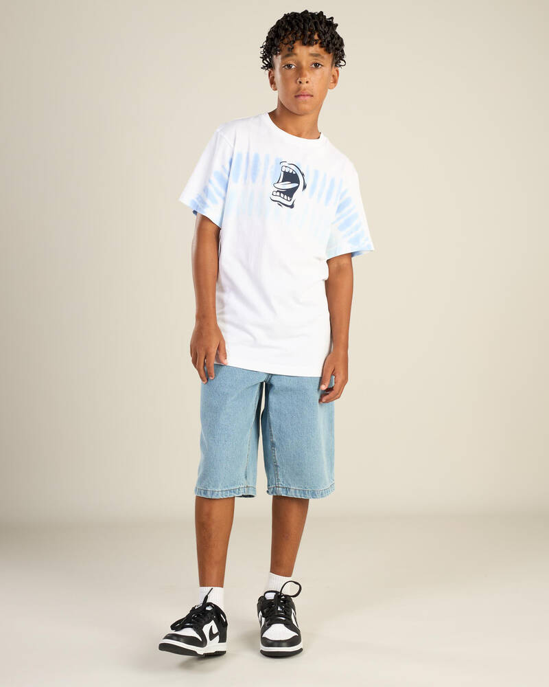 Santa Cruz Boys' Screaming Mouth Mono Strip Front T-Shirt for Mens