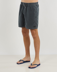 Quiksilver Everyday Surfwash Volley 17" Board Shorts for Mens image number null