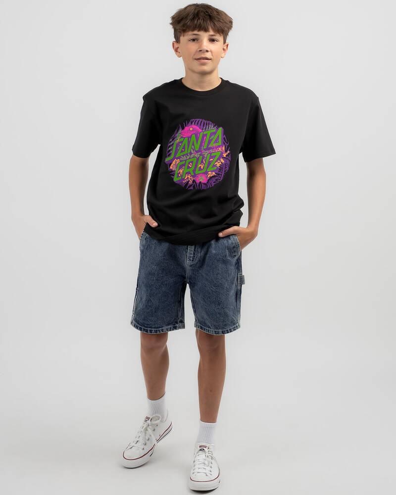 Santa Cruz Boys' ASP Flores Dot T-Shirt for Mens