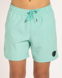 Skylark Boys' Liberty Elastic Waist Shorts for Mens image number null