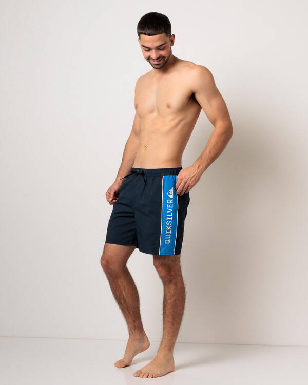 Quiksilver Everyday Clicker Volley 17" Board Shorts for Mens