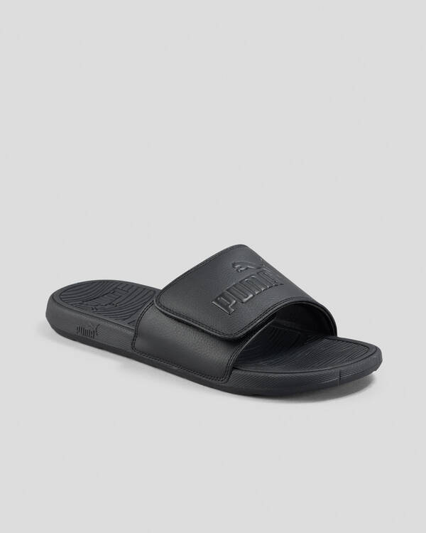 Cool Cat 2.0 Slides