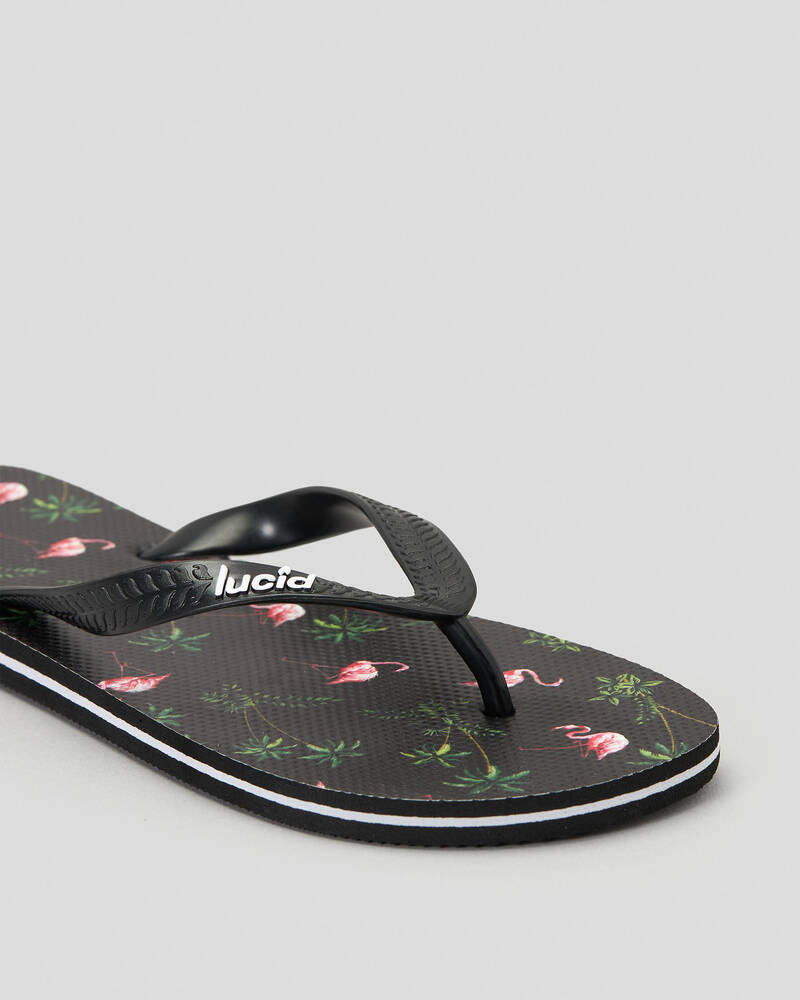 Lucid Chilled Flamingo Thongs for Mens