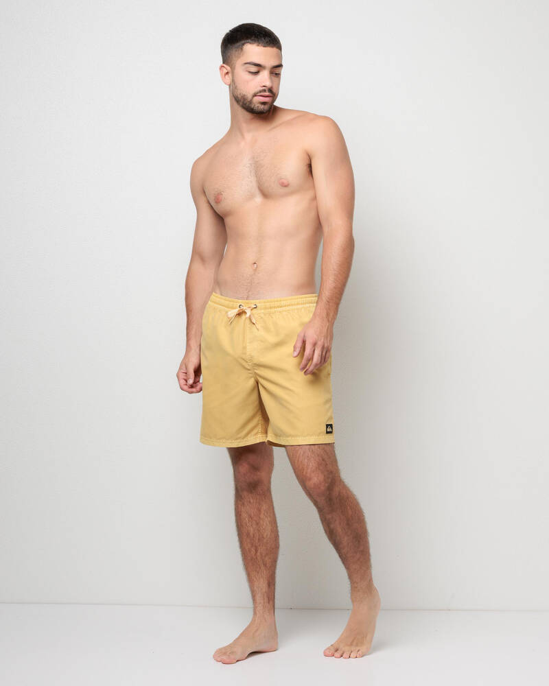 Quiksilver Everyday Surfwash Volley 17 NB Board Shorts for Mens