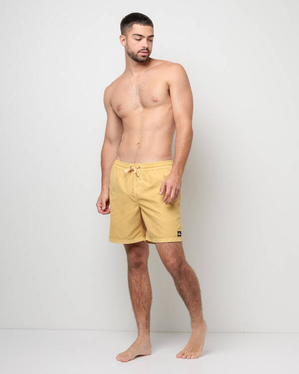 Quiksilver Everyday Surfwash Volley 17 NB Board Shorts for Mens