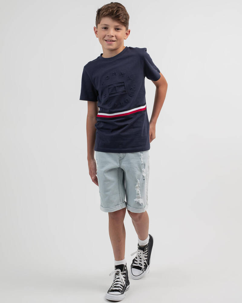 Tommy Hilfiger Boys' Global Stripe Embossed T-Shirt for Mens
